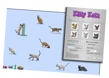 Kitty Katz Screen