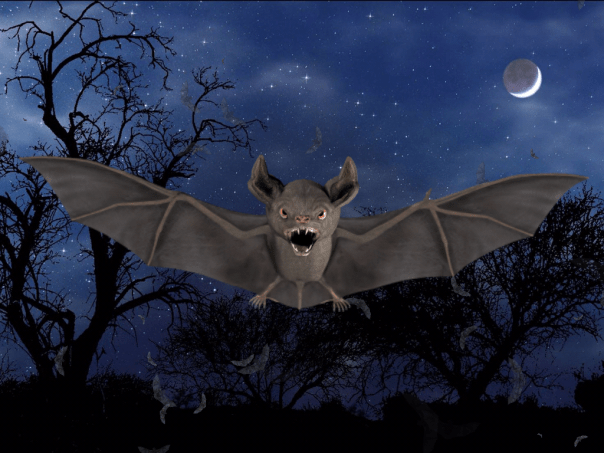 Spooked_Bat